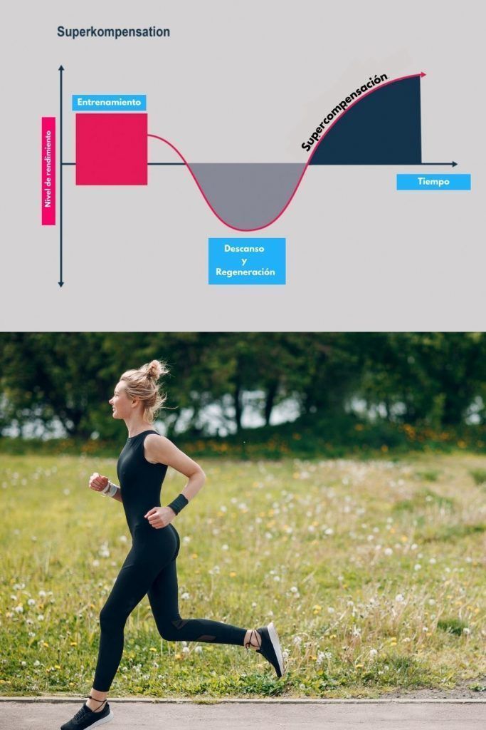 Correr & Fitness | Deporte y Actividad Física 3 supercompensacion